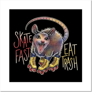 Skate Possum Posters and Art